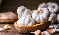 Mối liên quan giữa tỏi và HIV?