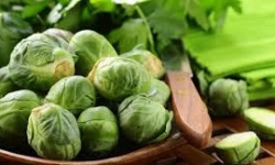 Loại bắp cải có kích thước tí hon nhưng mang lại lợi ích sức khỏe không ngờ
