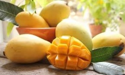 Cách ăn xoài có lợi nhất cho sức khoẻ và bệnh đái tháo đường 28-03-2025 06:05 | Dinh dưỡng