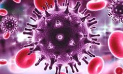 Các nhà khoa học tuyên bố có thể cắt vi rút HIV khỏi tế bào