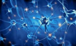 Bất ngờ lý do khiến nam giới có nguy cơ mắc Parkinson cao hơn