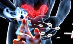 Thuốc lá lậu ảnh hưởng tới sức khỏe sinh sản nam giới?