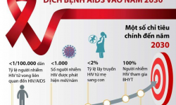 Tình hình dịch HIV/AIDS và xu hướng dịch HIV trên thế giới và Việt Nam