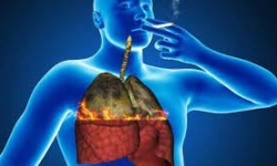 6 loại ung thư dễ “nhắm” vào nam giới, quý ông cần hết sức cẩn trọng