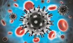 Virus HIV sẵn sàng ‘thức tỉnh’ khi ngừng điều trị